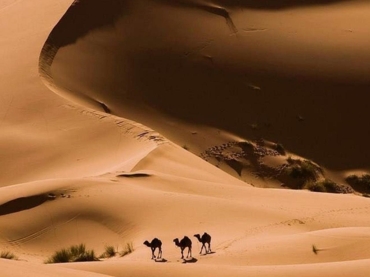 Amazing Luxury Camp Ξενοδοχείο Merzouga Εξωτερικό φωτογραφία
